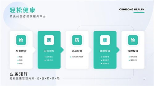 互聯網數據服務助力保險業轉型提質——以輕松集團科技賦能為視角