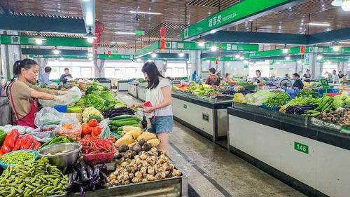象山6家單位上星！食用農(nóng)產(chǎn)品批發(fā)行業(yè)迎來新標(biāo)桿